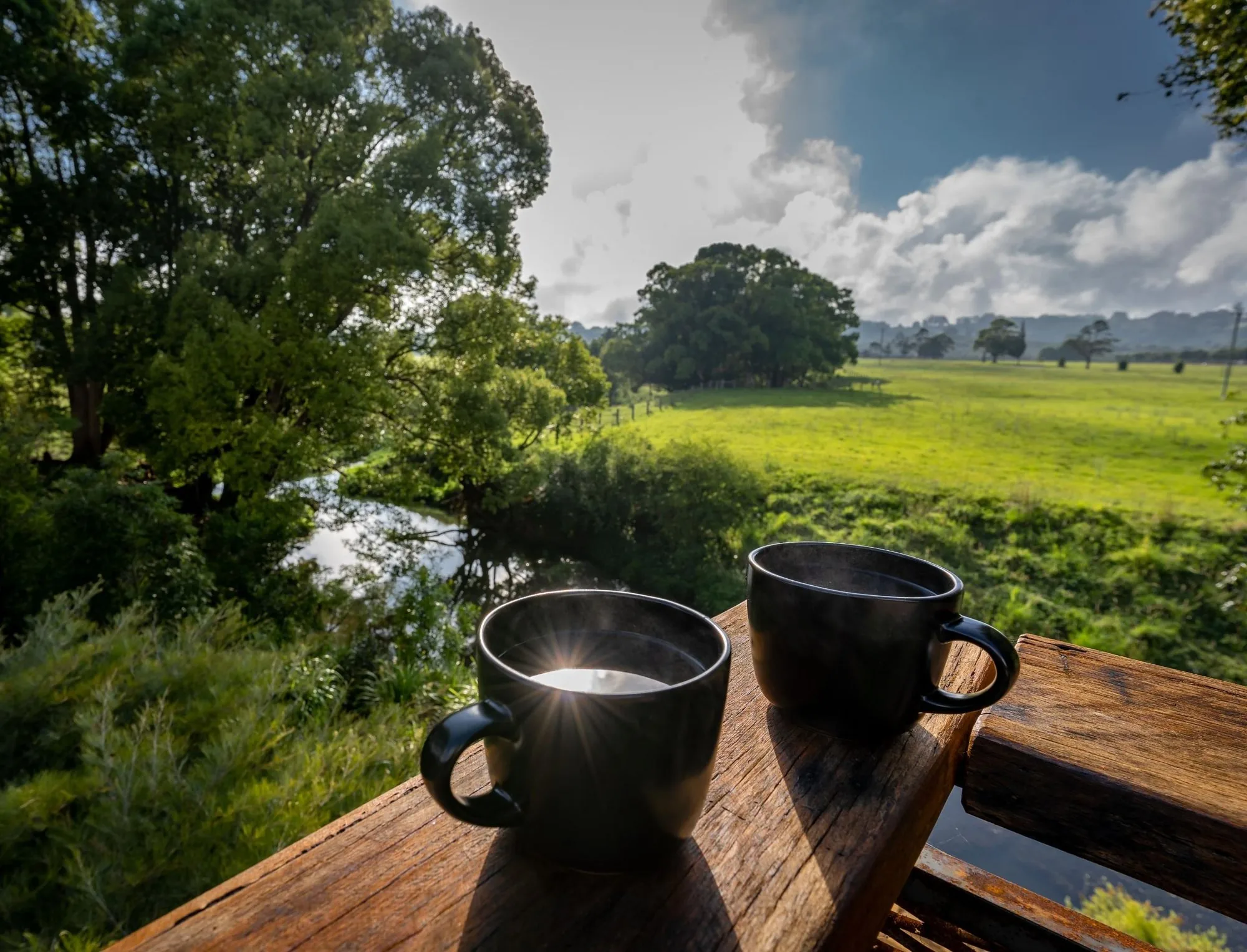 Two coffee cups on the barn deck looking out over the paddock in the morning